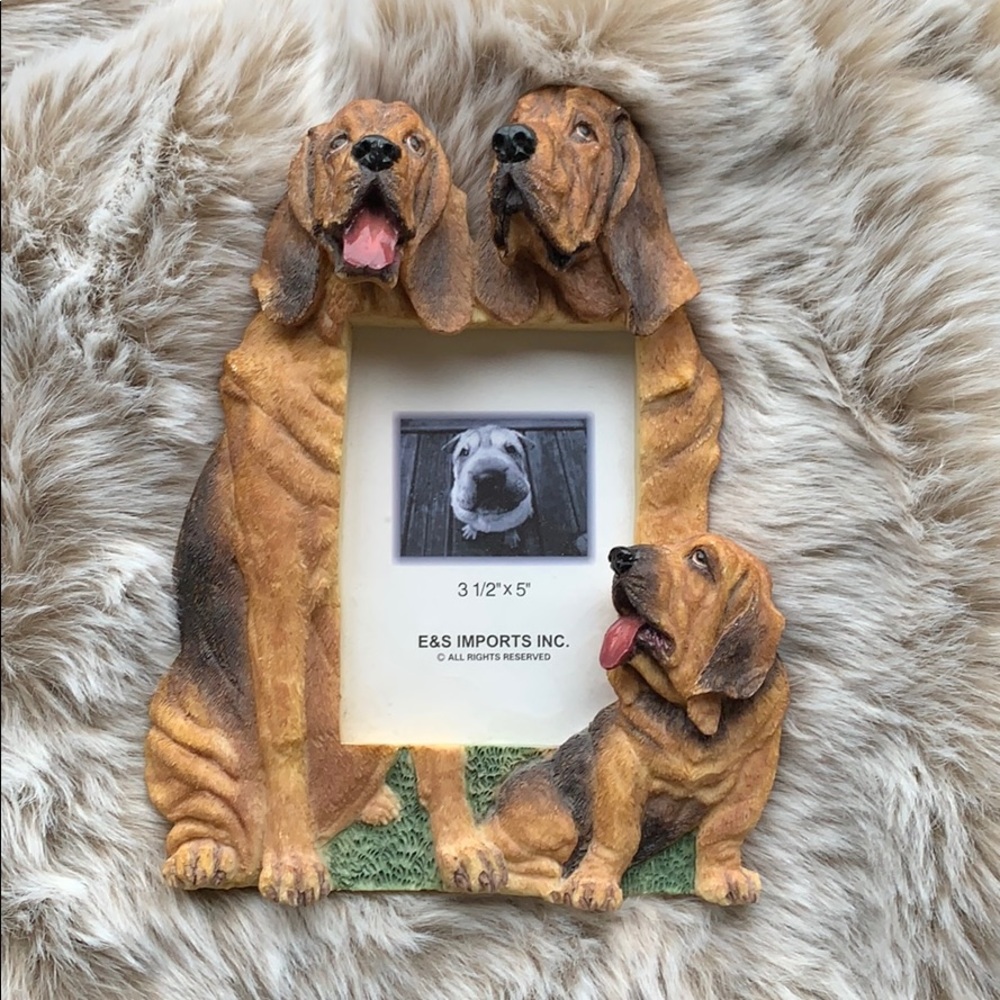 Bloodhound frame